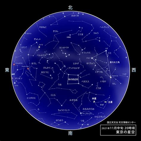 11月28號星座|星座11月28 